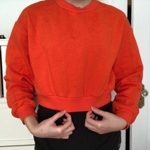 Cropped crew neck